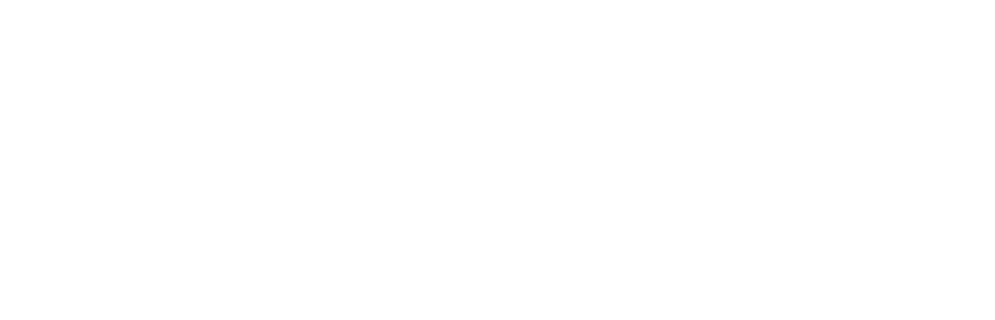 Inversiones meta logo blanco